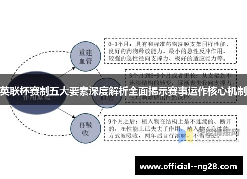 英联杯赛制五大要素深度解析全面揭示赛事运作核心机制