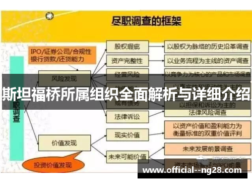 斯坦福桥所属组织全面解析与详细介绍