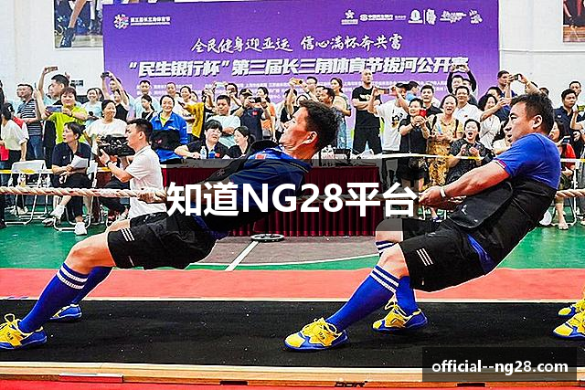 知道NG28平台
